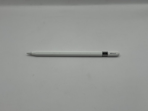 Apple Pencil (USB-C) ID:573335-IV